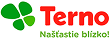 Terno